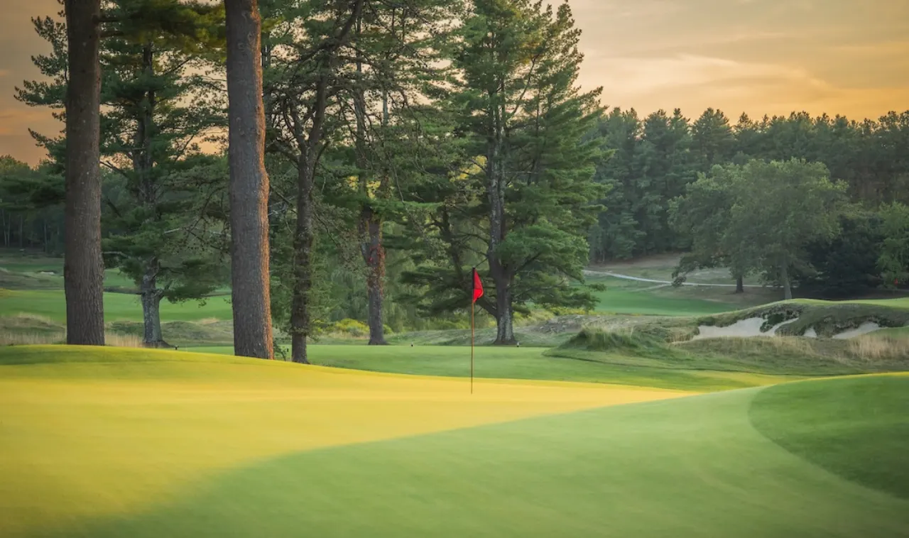 The Pines course